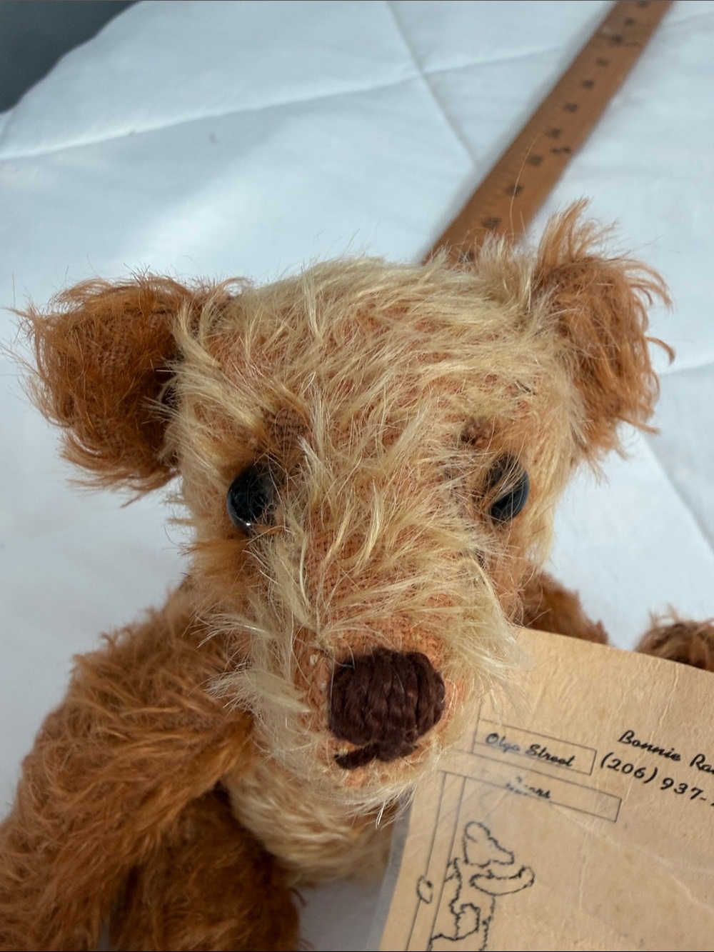 Teddy bear ace - Picture 10 of 11
